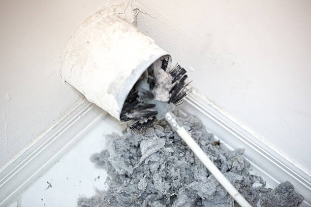 Best Professional Duct Cleaning Services  in Minonk, IL